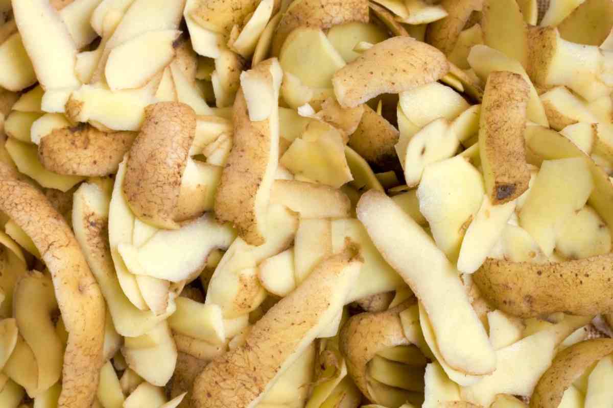 Utilizzo bucce di patata