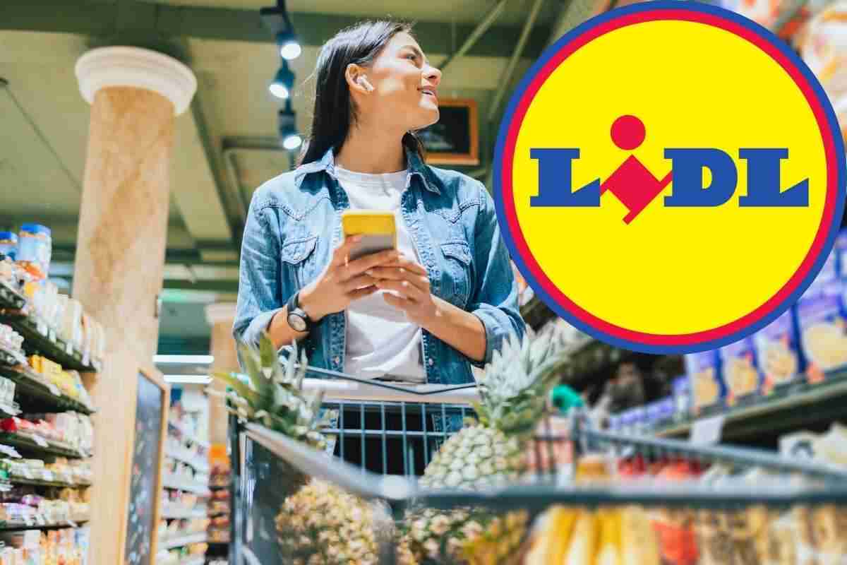 friggitrice ad aria lidl