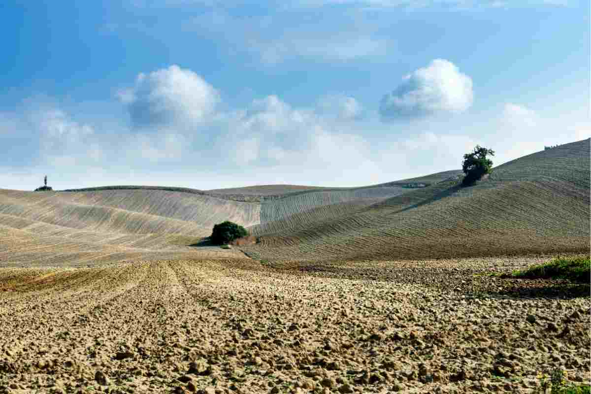 Colline senesi
