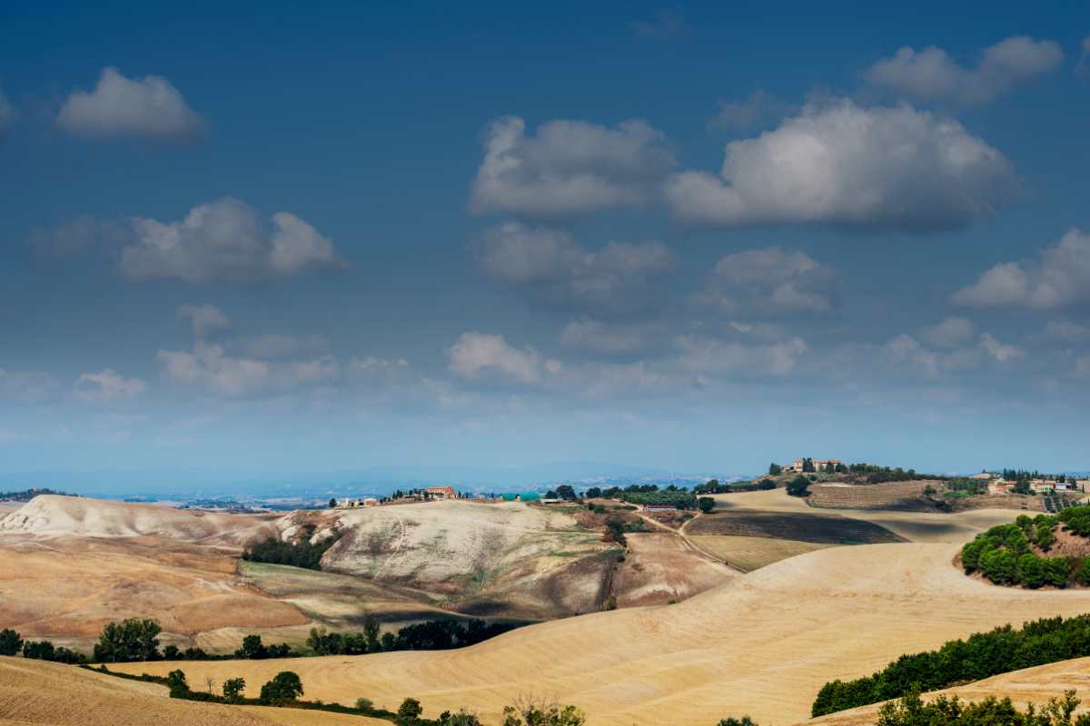 Colline senesi